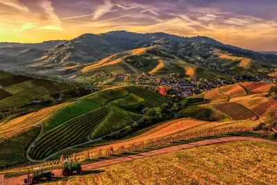 Danville